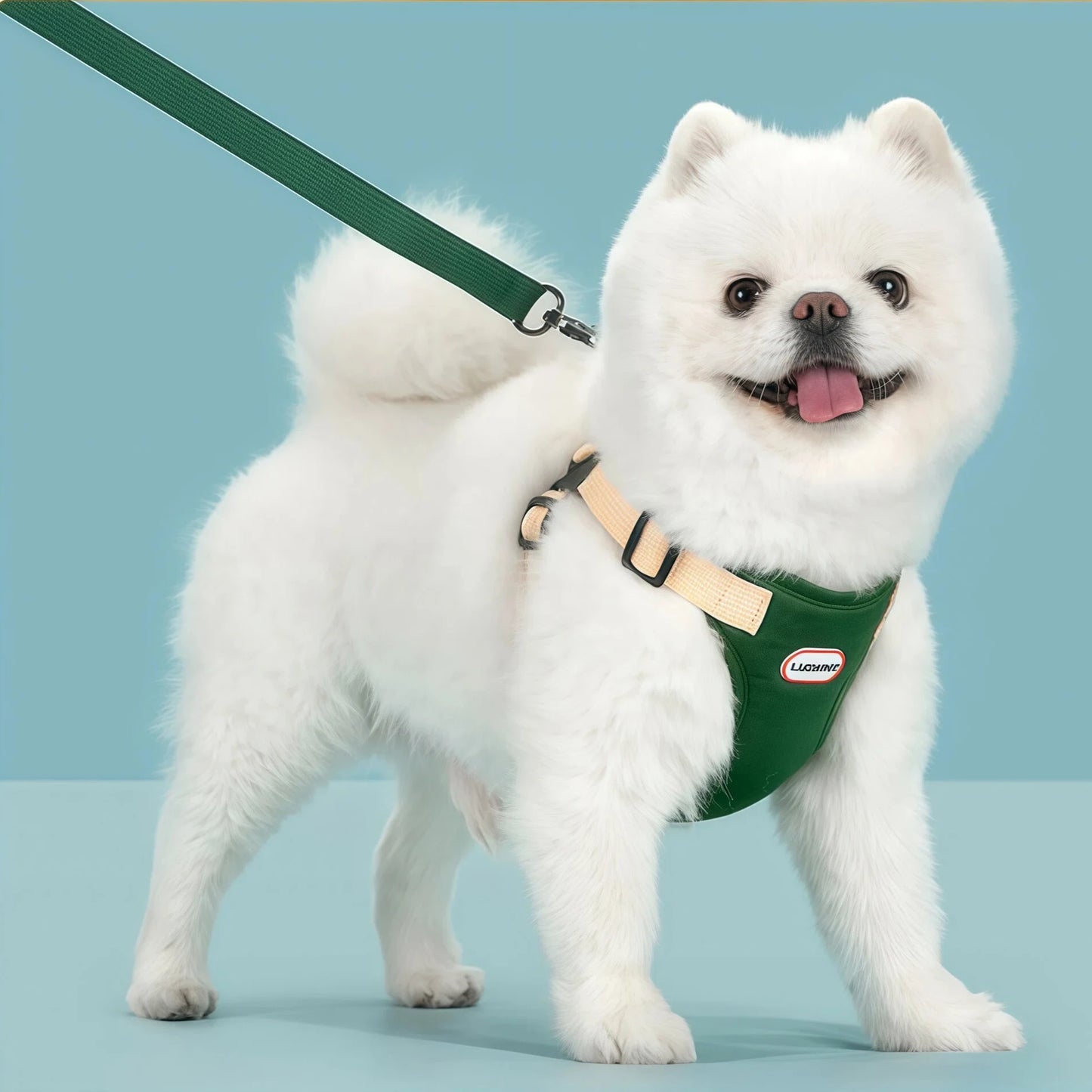 Breathable Vest Harness & Leash Set for Small Dogs