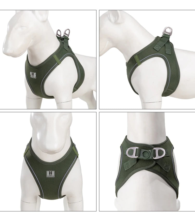 Reflective Dog & Cat Harness with Leash Set