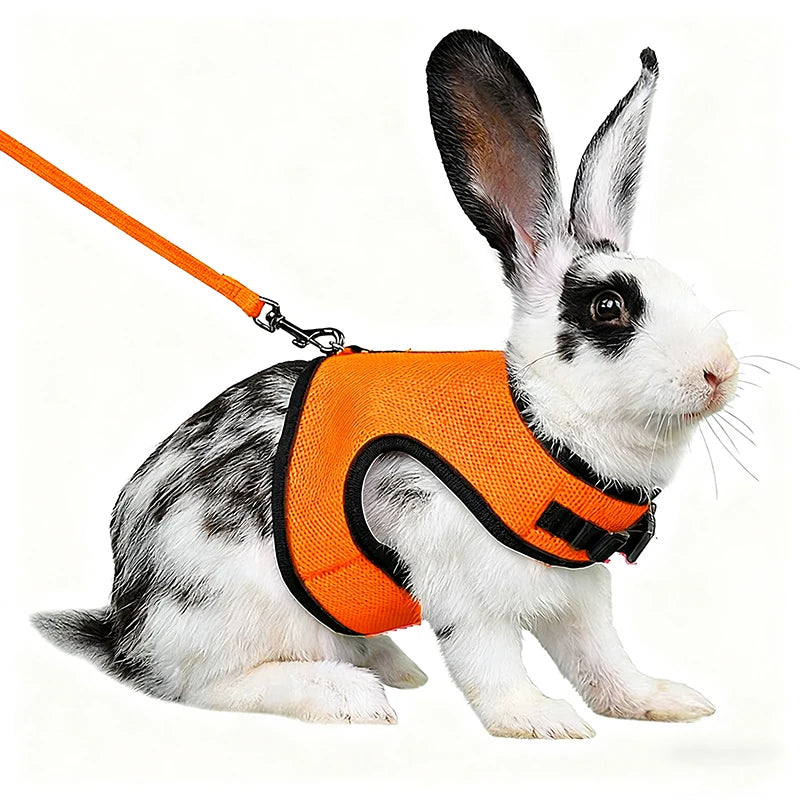 Mesh Breathable Harness & Leash Set for Rabbits, Ferrets & Small Pets
