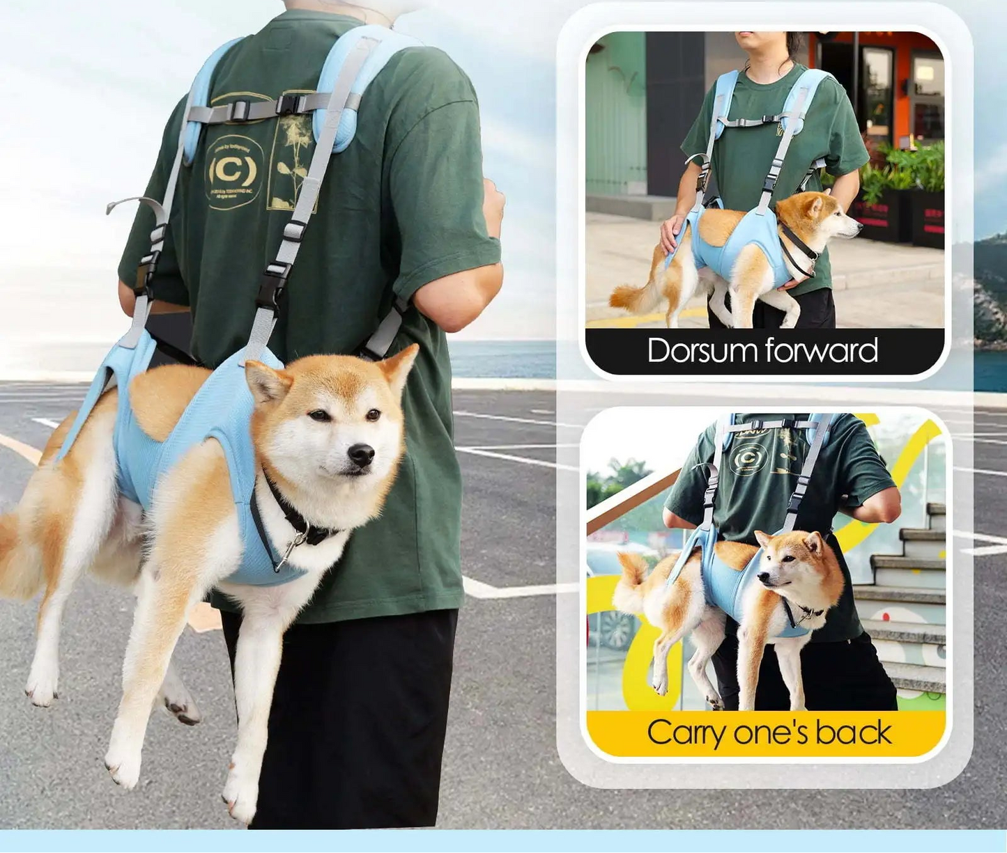 Breathable Pet Carrier Backpack - Adjustable Design for Small to Medium Dogs