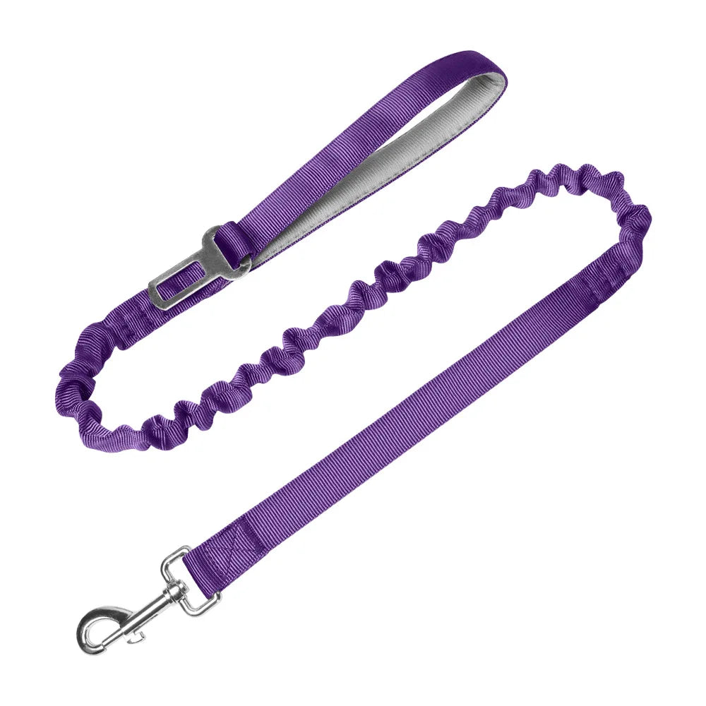 Heavy-Duty Bungee No-Pull Training Leash for Large Dogs