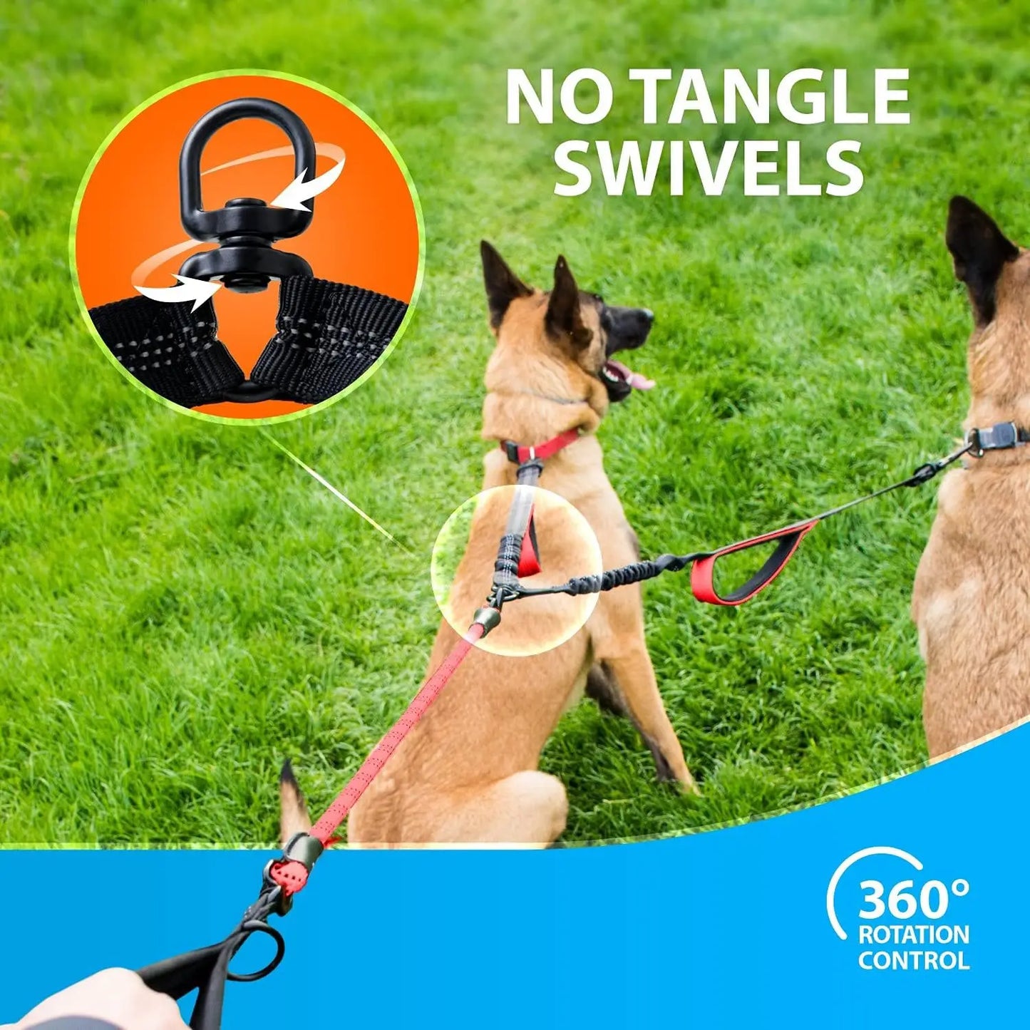 Double Dog Leash with Elastic Shock Absorber