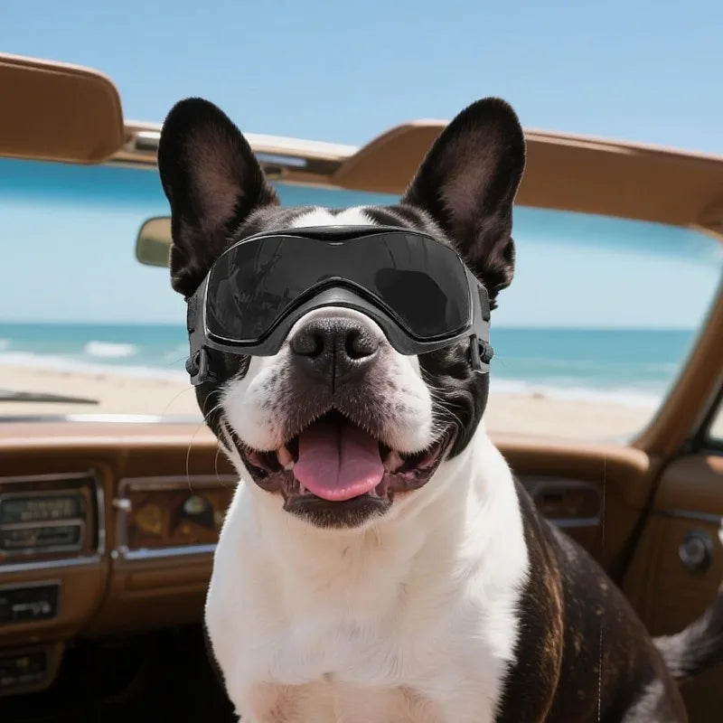 UV-Protective Dog Sunglasses – Windproof Anti-Fog Goggles for Outdoor Travel