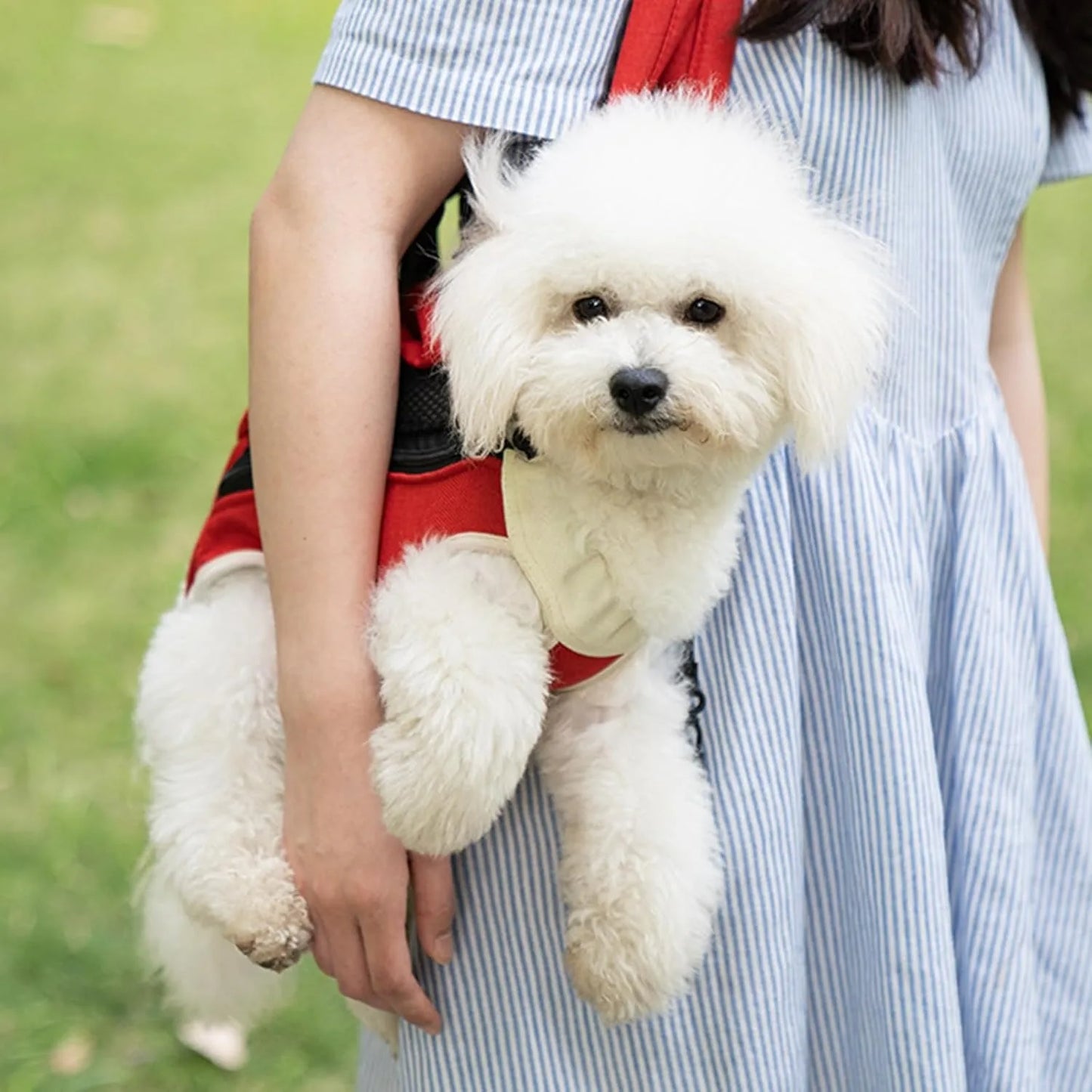 Hands-Free Front & Back Pet Carrier Backpack for Cats & Dogs
