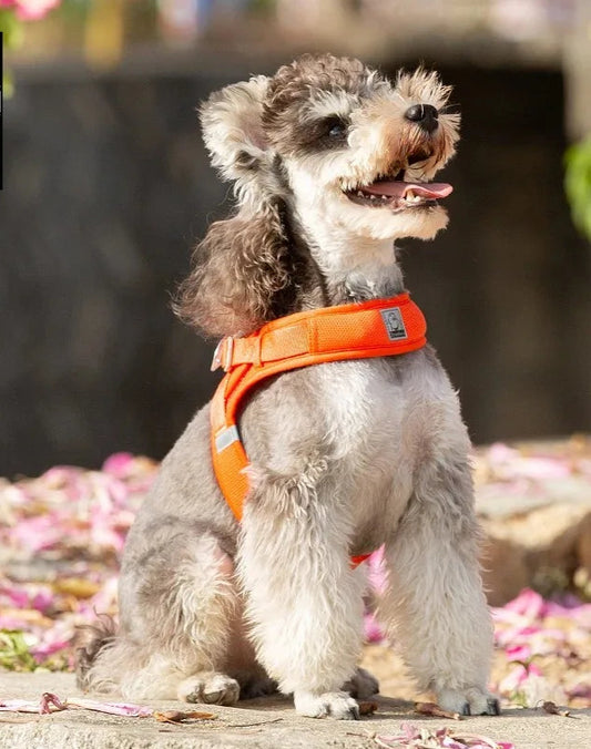 Tactical Dog Harness with Chest Strap - Multi-Size Pet Vest