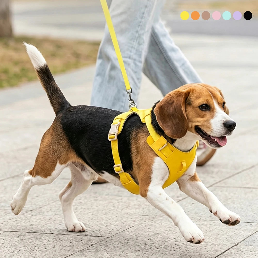 Lightweight Dog Harness & Leash Set Anti-Pull Escape-Proof Pet Walking Lead for Small Medium Large Dogs