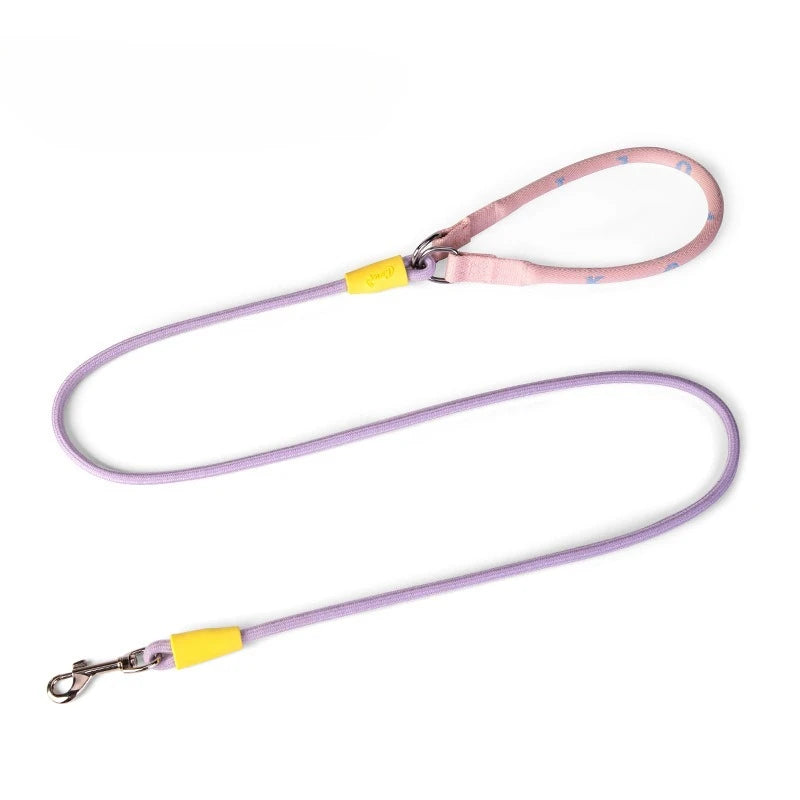 Laisse et collier combinés en nylon pour petits chiens