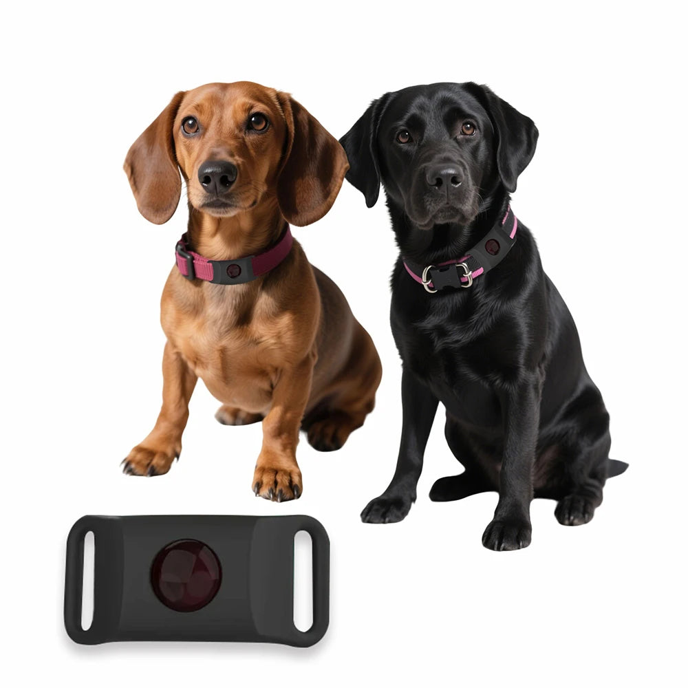 Natural Essential Oil Flea & Tick Collar Pendant – Chemical-Free Protection for Dogs & Cats