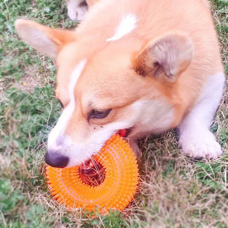 Squeaky Donut Chew Toy for Small & Medium Dogs