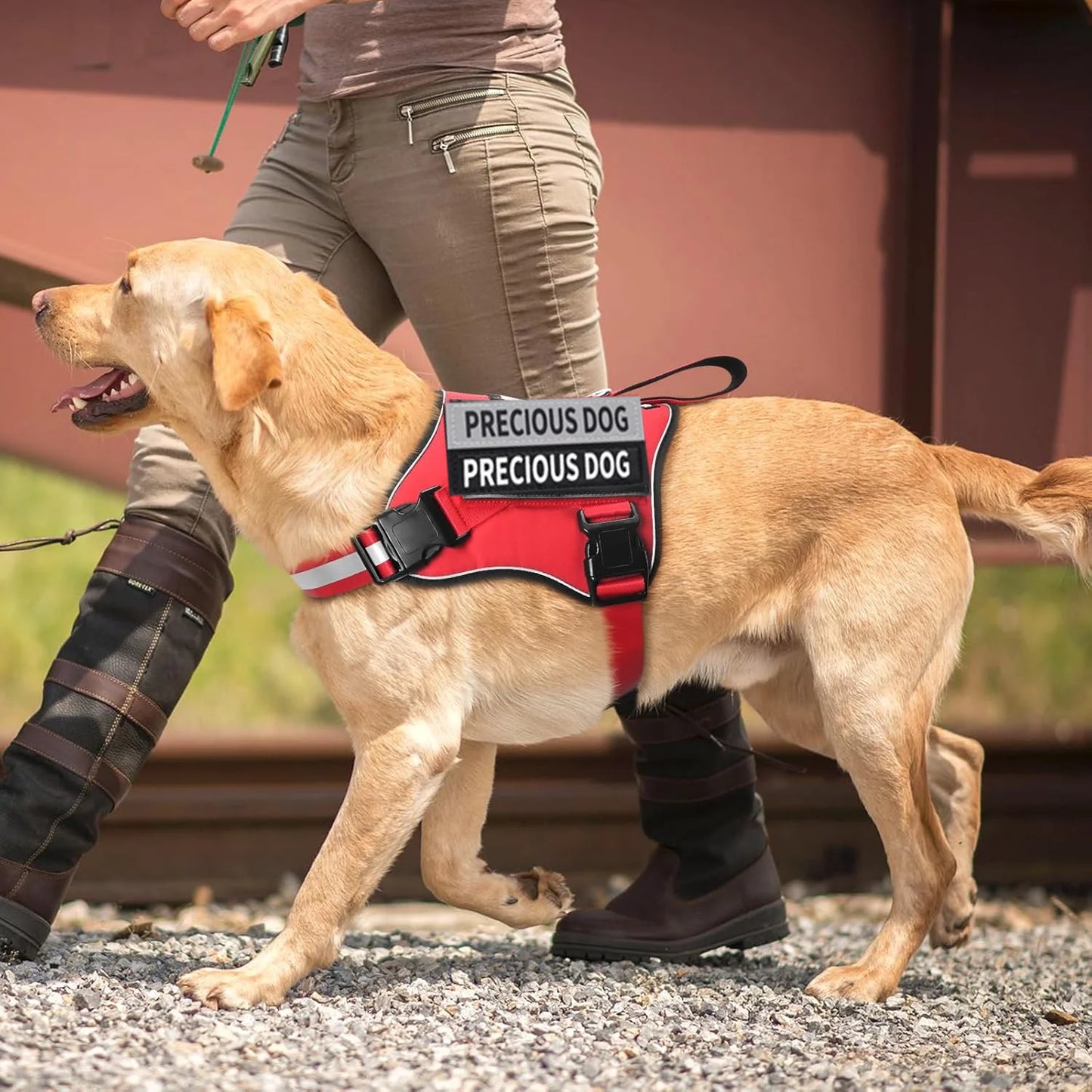 Harnais réfléchissant respirant sans traction pour chien
