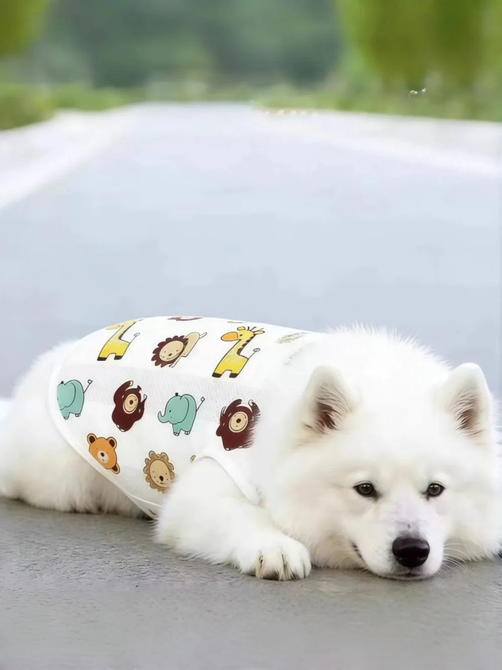 Breathable Mesh Cooling Vest for Dogs