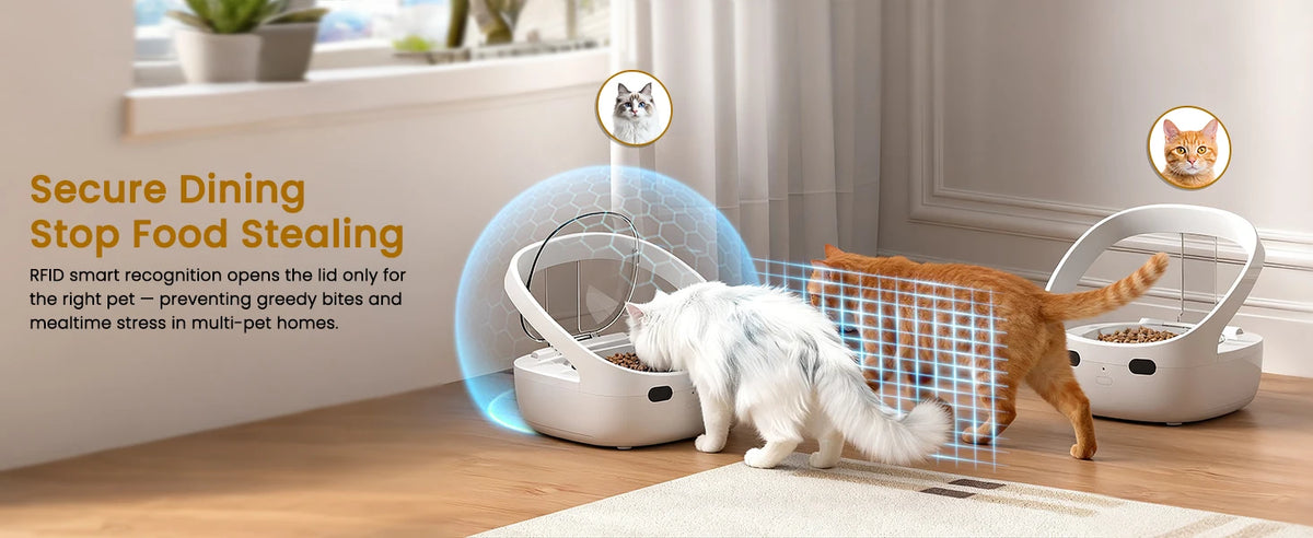 RFID Selective Cat Feeder with Ice Pack Cooling