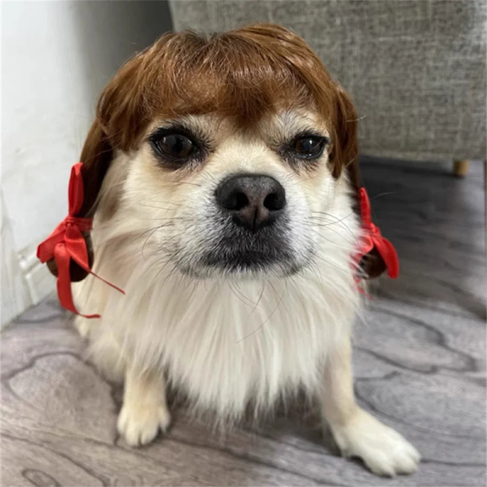 Novelty Faux Fur Wig Hat for Dogs & Cats