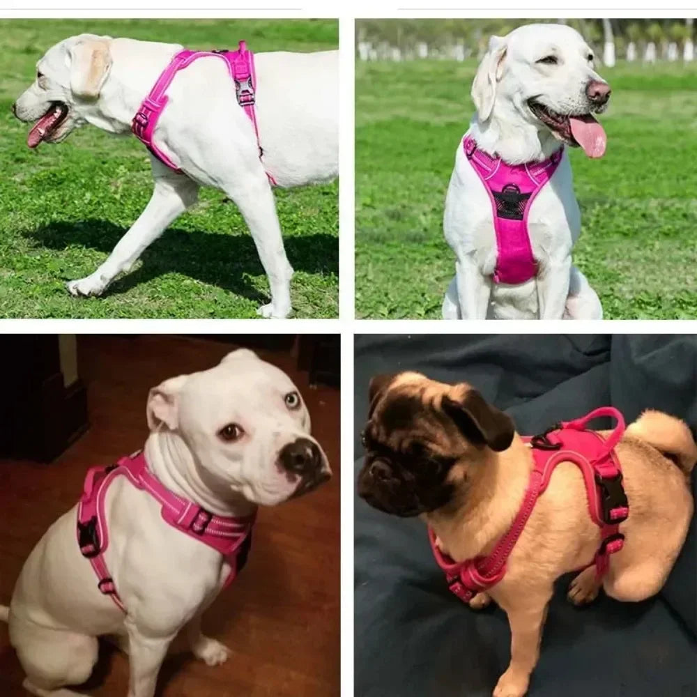 Reflective Adjustable Vest Harness for Dogs and Cats
