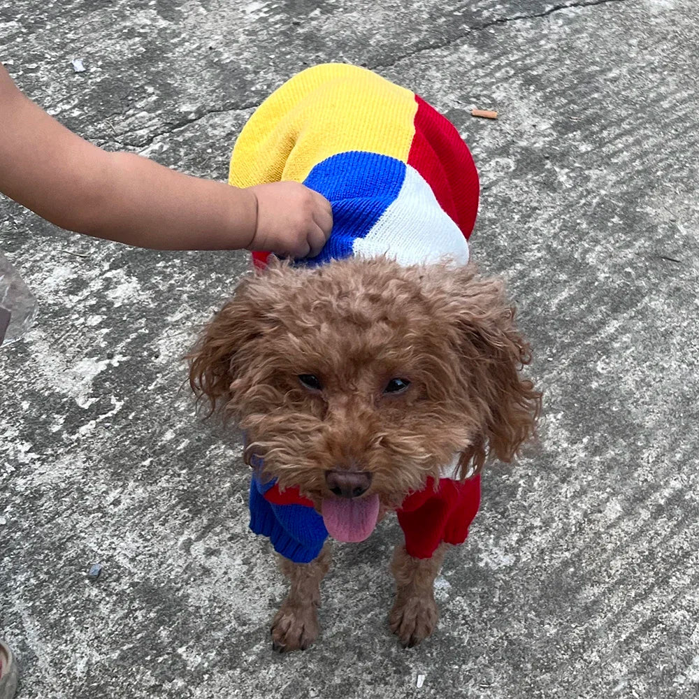 Colour-Block Knitted Sweater for Small Dogs & Cats