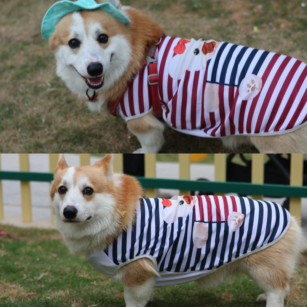 Striped Summer Cooling Vest Shirt for Dogs | Casual Breathable Top for Small to Large Breeds