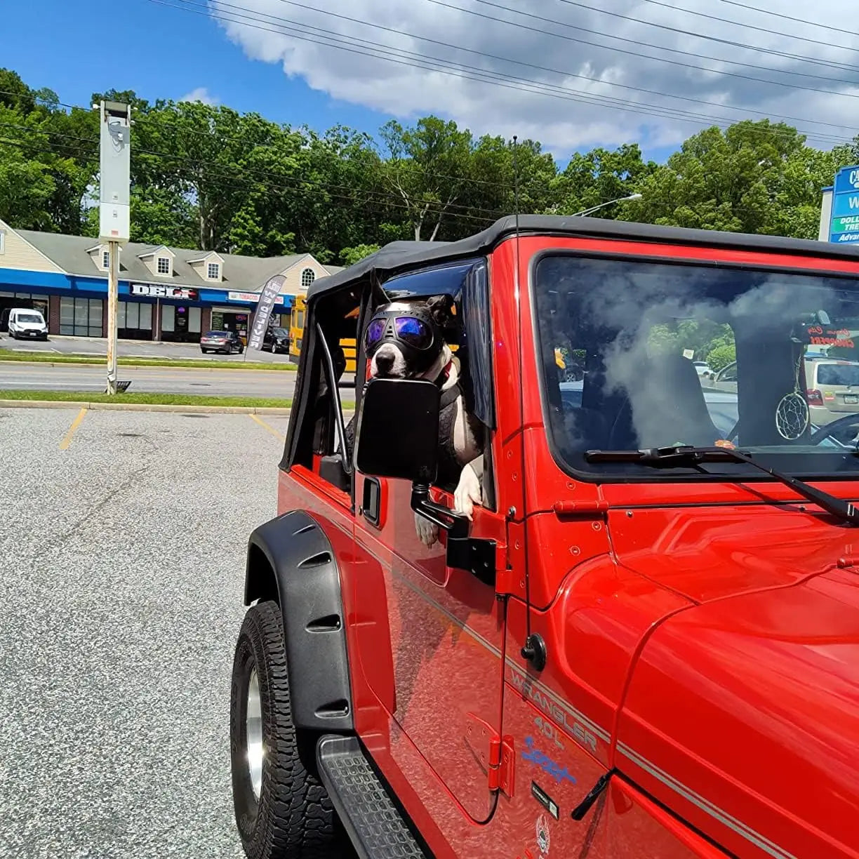 Dog Goggles for Large Breeds - Windproof Snowproof Eye Protection