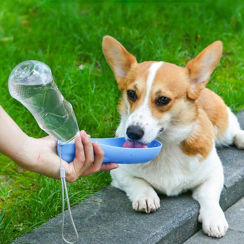 Portable Dog Water Bottle with Bowl