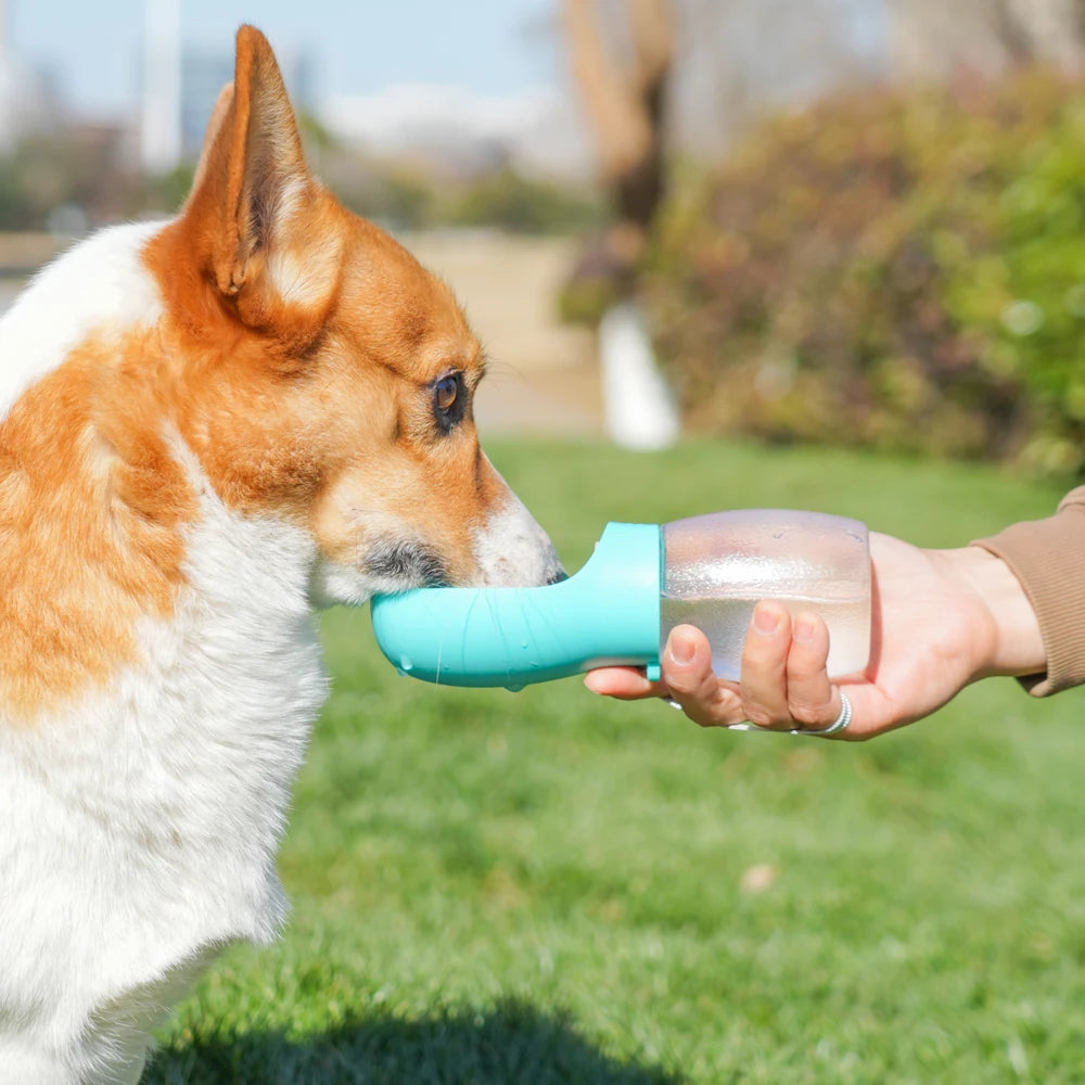 300ml Frosted Pet Water Bottle with Drinking Bowl – Portable & Leakproof for Dogs & Cats