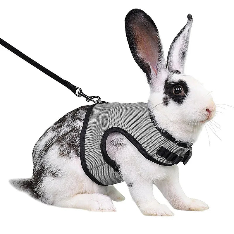Mesh Breathable Harness & Leash Set for Rabbits, Ferrets & Small Pets
