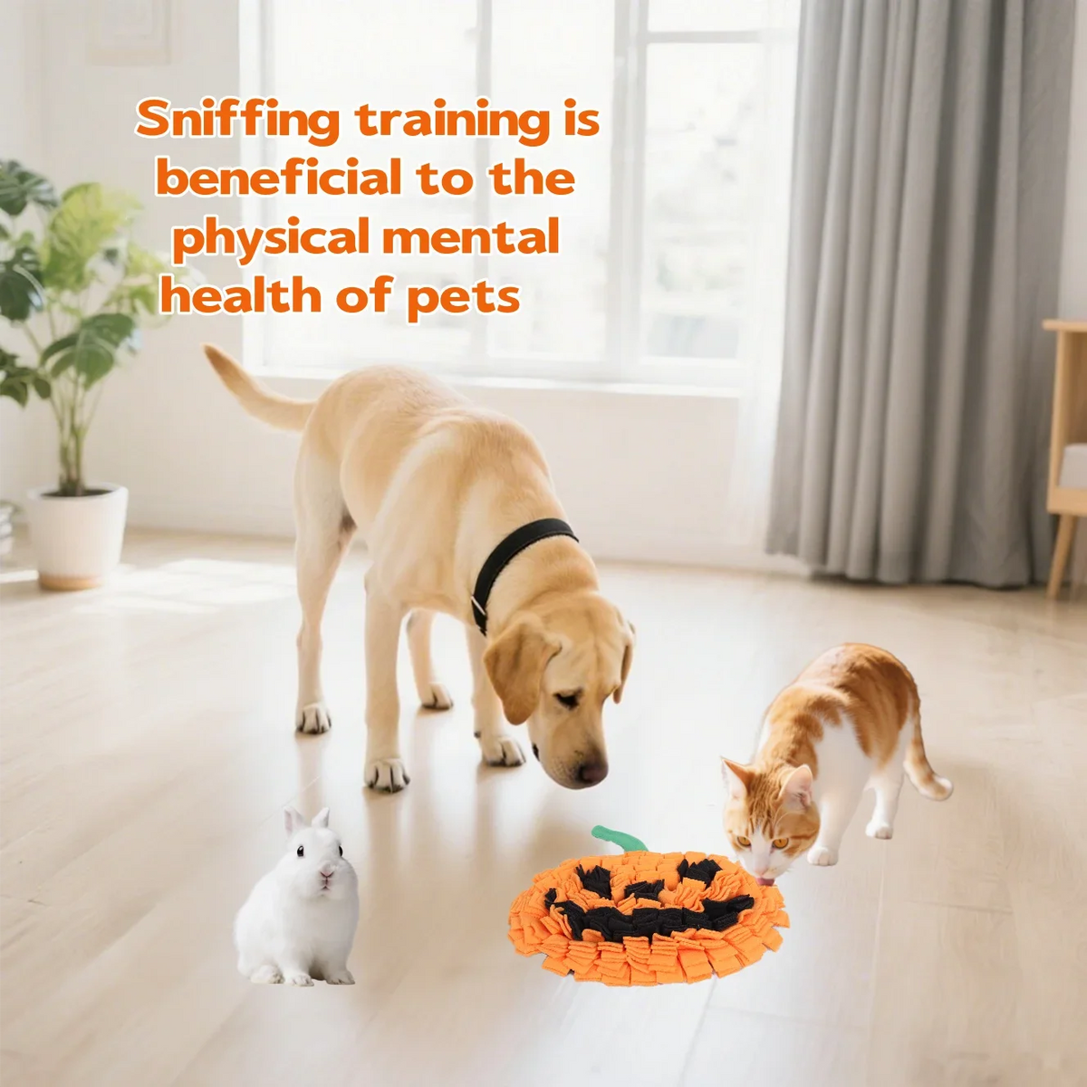 Halloween Pumpkin Dog Snuffle Mat
