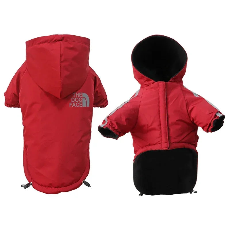 Manteau imperméable à capuche pour chien