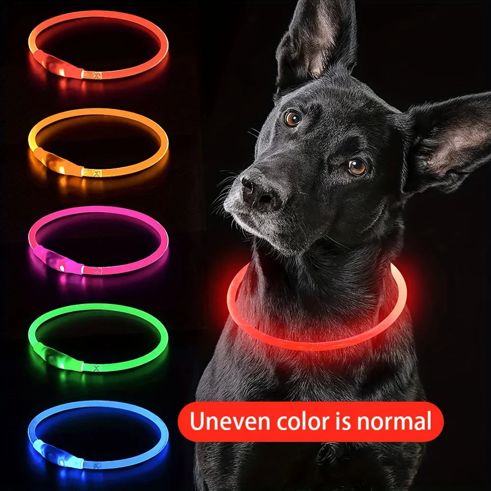 Collier lumineux LED pour chien - Collier de sécurité rechargeable par USB pour une visibilité nocturne