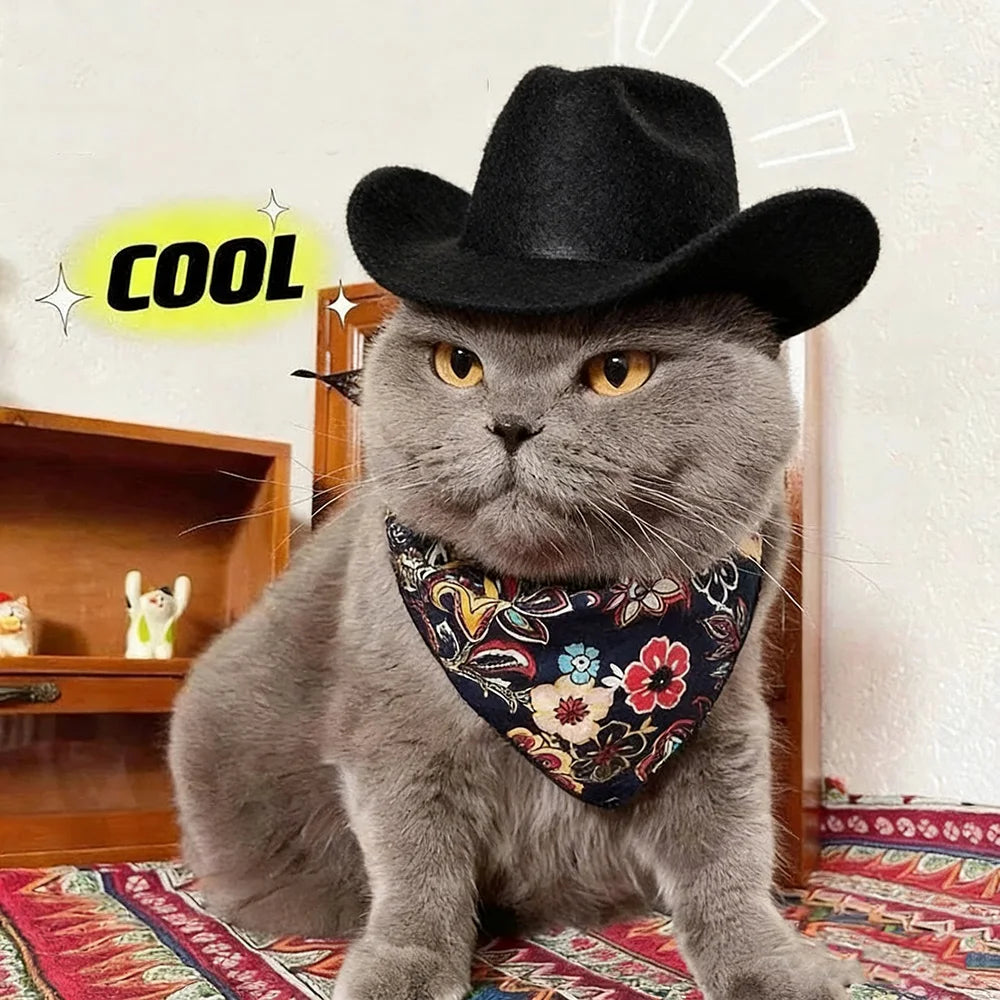 Western Cowboy Pet Hat for Cats & Small Dogs