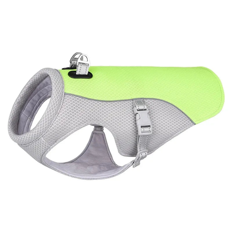 Harnais de poitrine pour chien avec laisse – Système complet de harnais pour animaux de compagnie