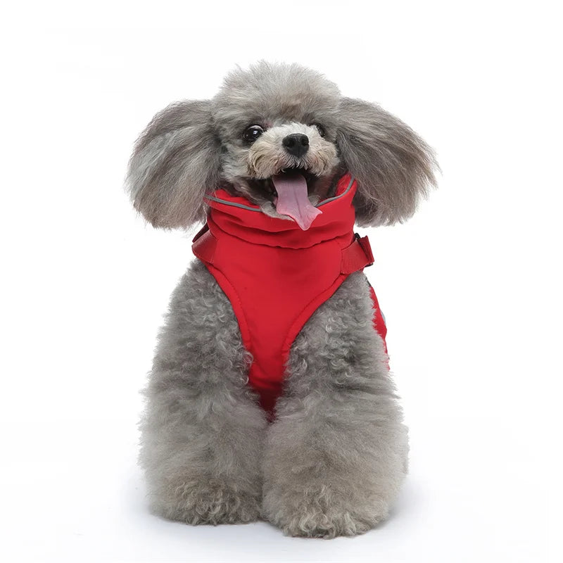 2-in-1 Dog Jacket & Harness with Pocket
