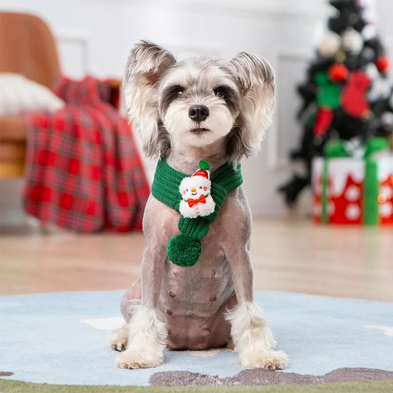 Pull, sweat à capuche et écharpe de Noël pour animaux de compagnie — Vêtements chauds et festifs pour chiens et chats