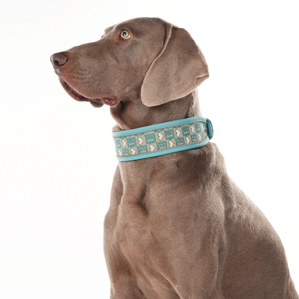 Wide Reflective Dog Collar with No-Pressure Fit
