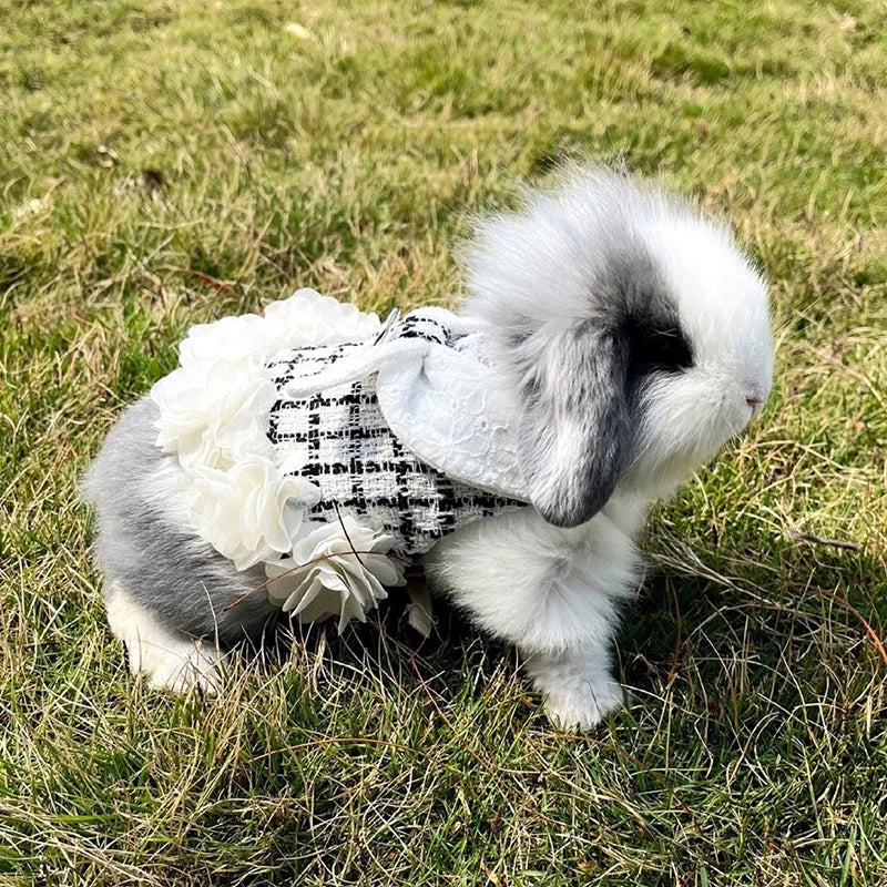 Adjustable Harness & Leash Set for Rabbits & Kittens