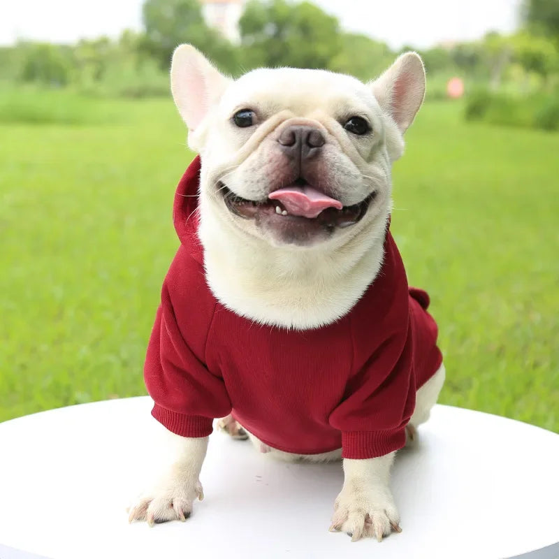 Manteau à capuche en polaire pour chien | Veste sweat chaude d'automne et d'hiver pour petits chiens et chats