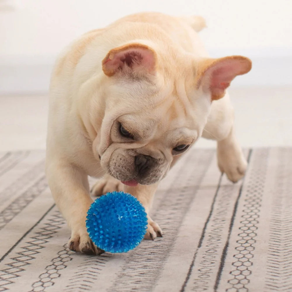 Squeaky Rubber Play Ball for Dogs