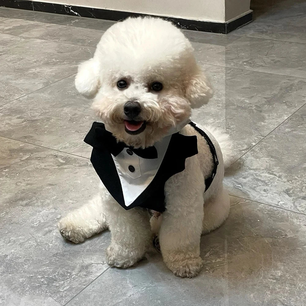 Tuxedo Dog Harness Vest with Bow Tie & D-Ring
