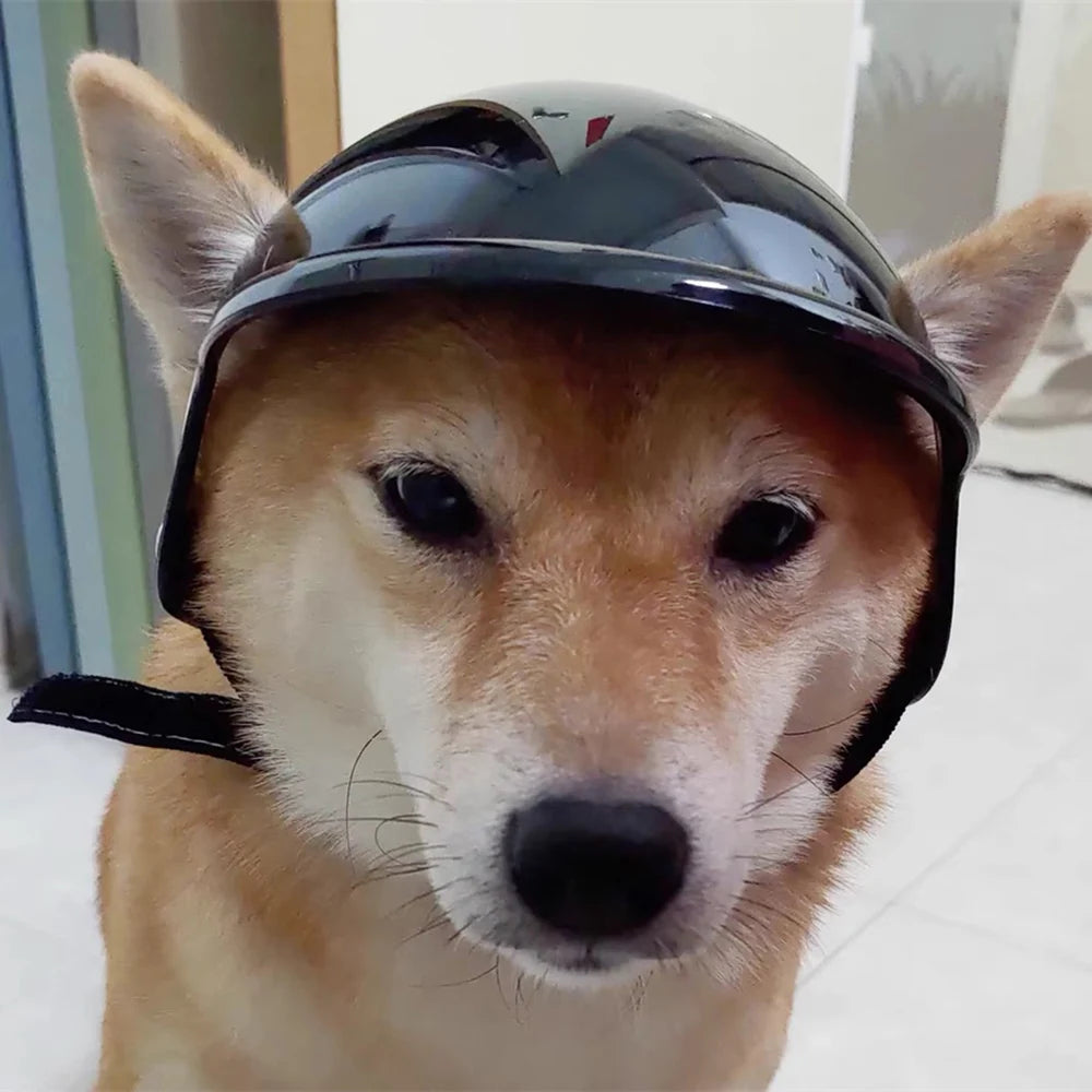 Cool Pet Dog Safety Helmet for Small Medium Dogs French Bulldog Doberman Pinscher Adjustable Motorcycle Helmets Pet Accessories