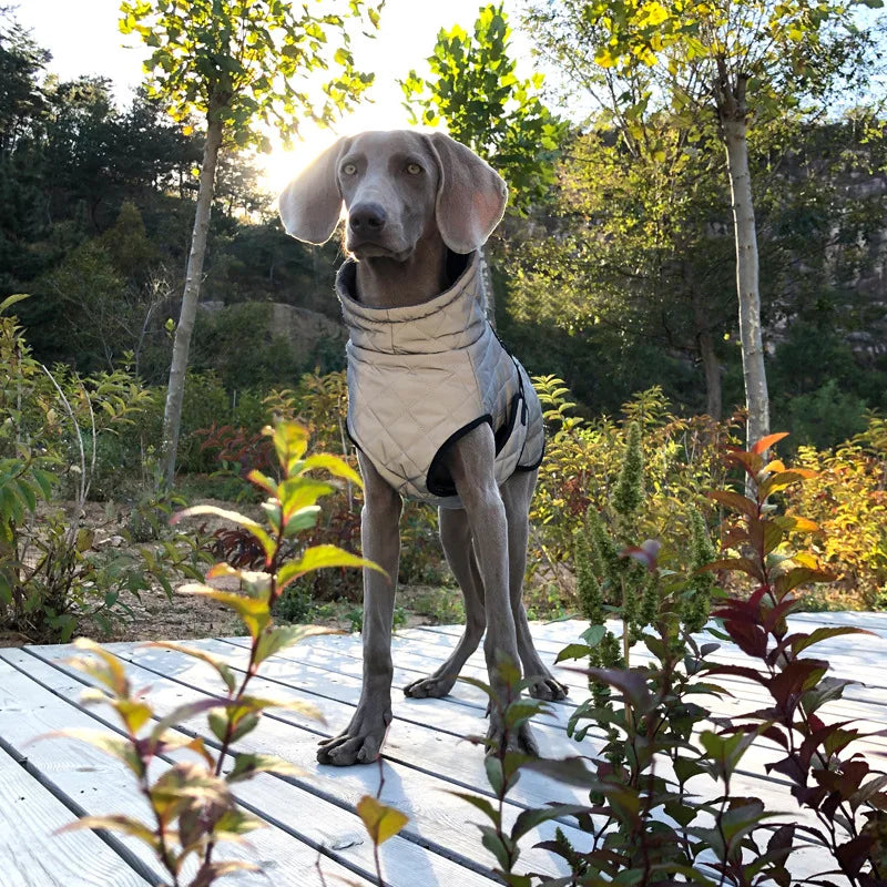 Reflective Winter Dog Jacket & Outdoor Vest