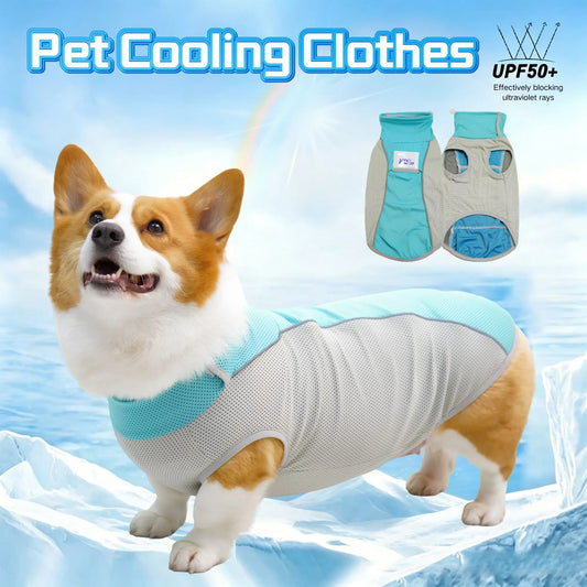 Ice Pack Cooling Vest for Small & Medium Dogs
