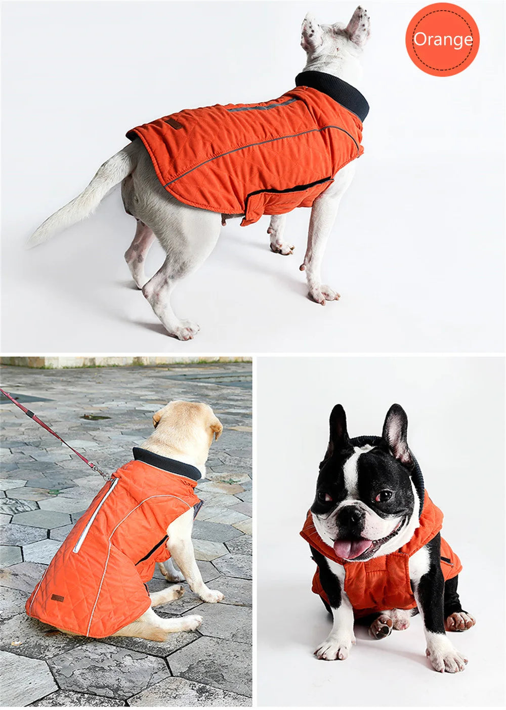 Warm Reflective Winter Jacket for Dogs — XS to 3XL