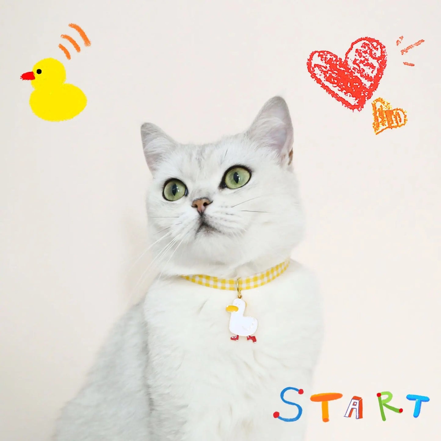 Fruity Avocado Pendant Collar with Bell for Small Dogs and Cats