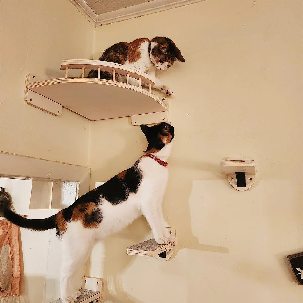 Wall-Mounted Cat Climbing Furniture & Hammocks