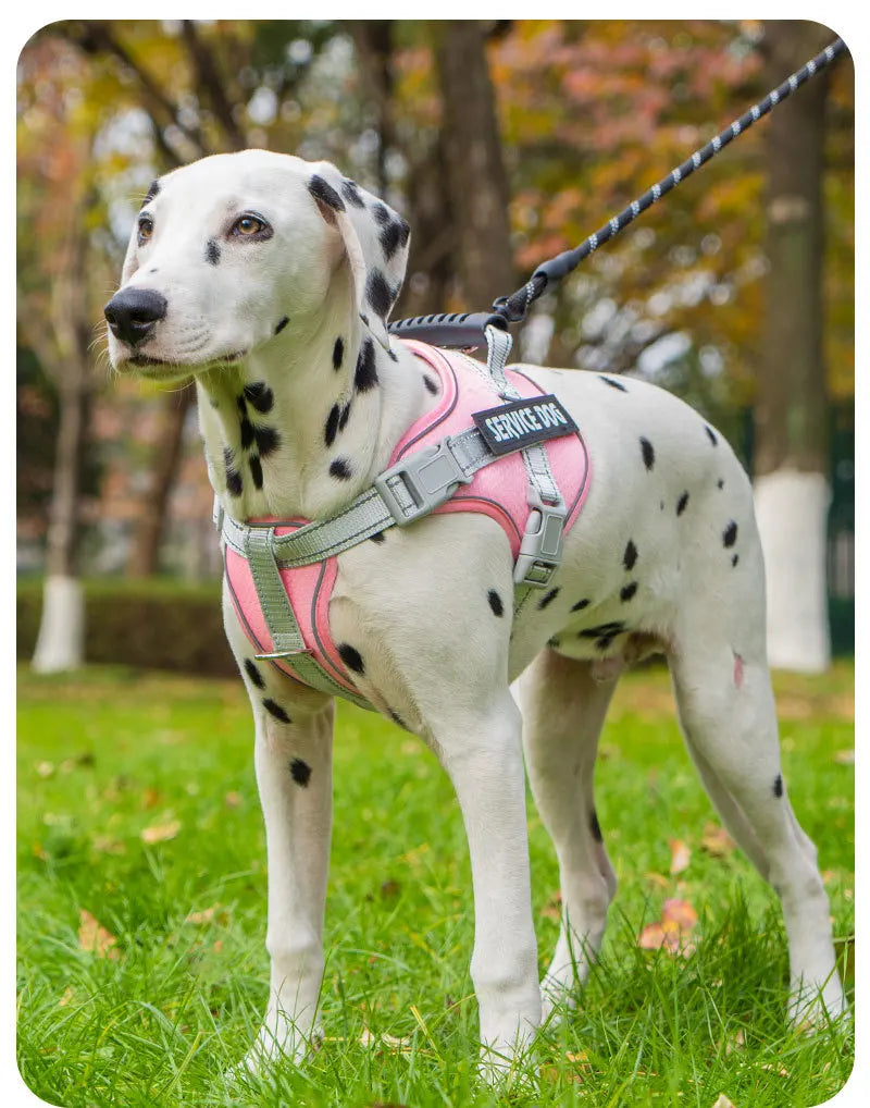 No Pull Dog Harness with Front Clip and Handle