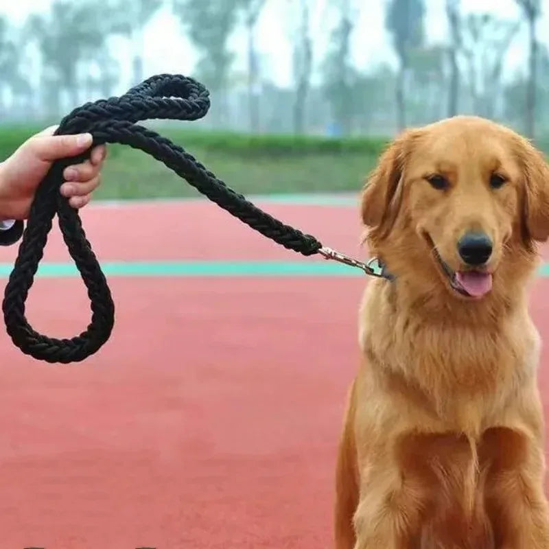 Ensemble laisse et collier pour chien avec gilet harnais