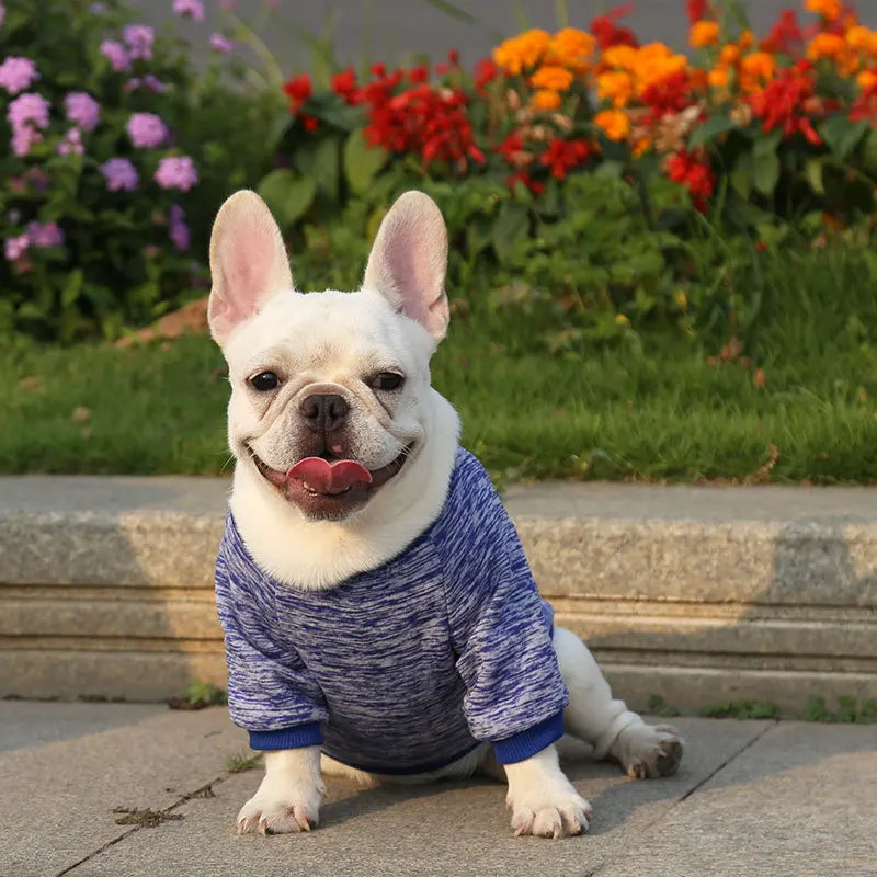 Winter Pet Jacket - Warm Coat for Dogs and Cats