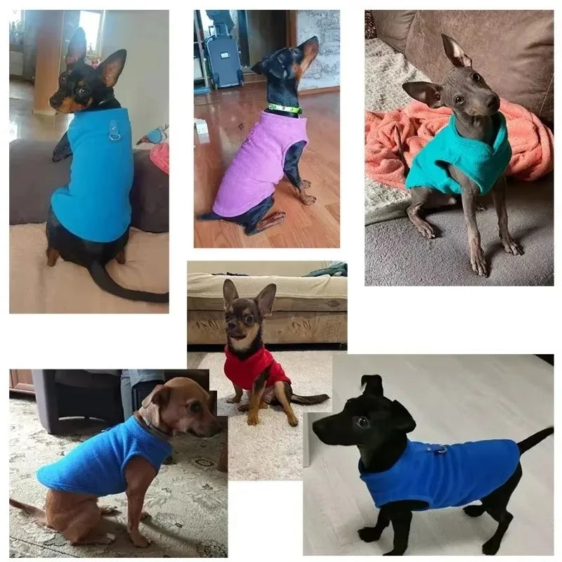 Gilet Polaire pour Petits Chiens et Chats | Manteau d'Hiver Chaud pour Chihuahuas et Bouledogues Français
