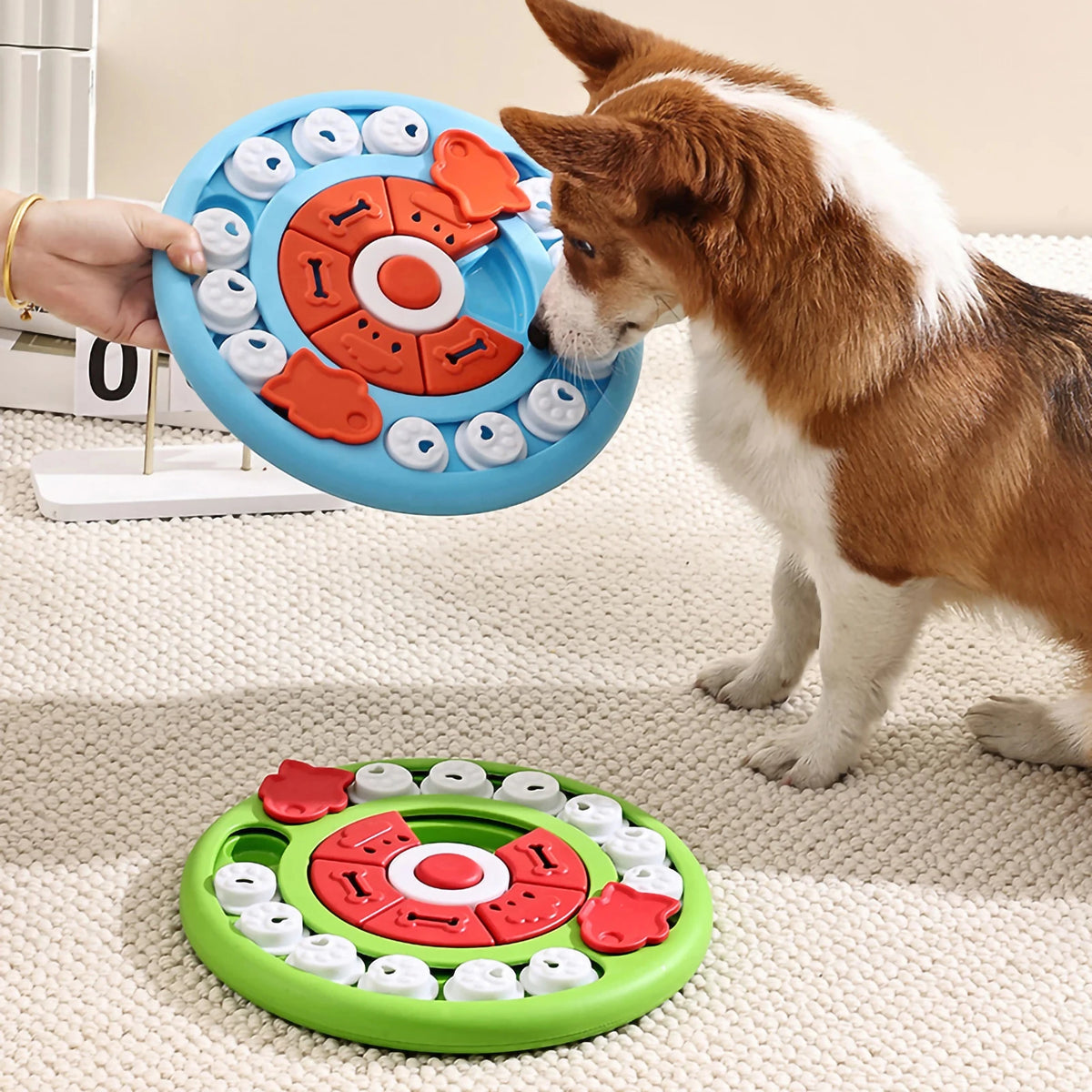 Non-Slip Puzzle Slow Feeder Bowl – Interactive Food Game for Dogs & Cats