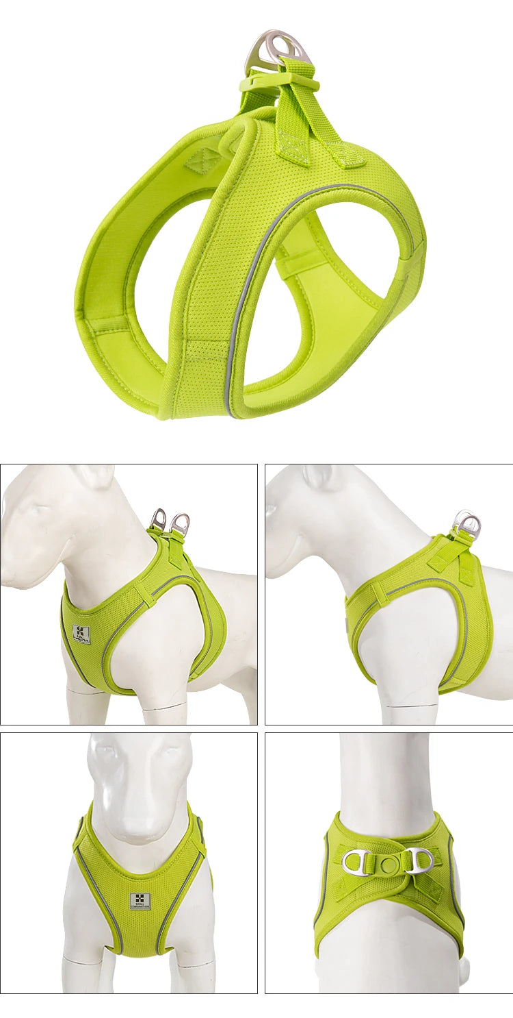 Reflective Dog & Cat Harness with Leash Set