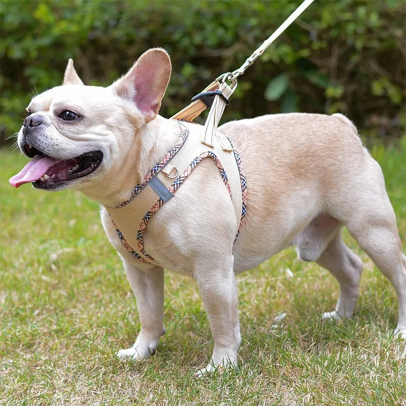 Gilet Tactique pour Chien avec Sangle de Poitrine - Harnais Robuste pour Animaux de Compagnie