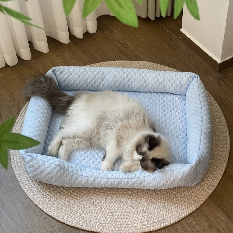 Lit Rafraîchissant pour Animaux - Chats & Petits Chiens